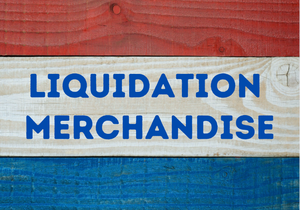 lot 2 image: Liquidation Items