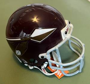 lot 43D image: Washington Redskins Riddell Mini Helmet - Football