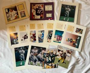 lot 160D image: (14) NFL Football Limited Edition Star Prints - Favre, Marino and more