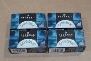 lot 180 image: 200 Federal Game-Shok .22 LR 38 Gr CP HP Ammo