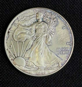lot 16 image: 2009 Walking Liberty One Dollar 1 oz. Fine Silver (90%) Coin VG