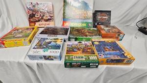 Puzzle Lot