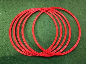 lot 10 image: Lot of 5 Snap Fitness Commerical Hula Hoops