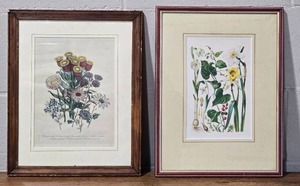 lot 107B image: Framed Botanical Etching Pair - Wild Flowers
