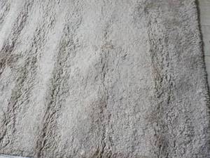 Thomasville 5ft3x 7 ft 5 Shag Oat...