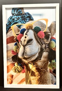 lot 72 image: Fun and Colorful Camel Artwork