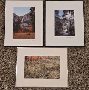 lot 147 image: Three Signed Leighton Siegel Photographs
