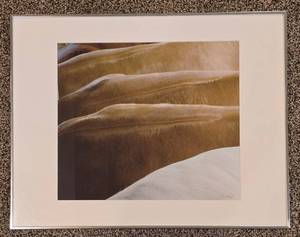 lot 159 image: Signed Leighton Siegel Photograph