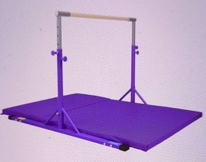 lot 11 image: 5ft Gymnastics Training Bar with Mat