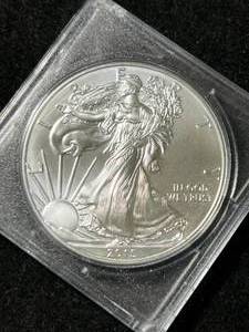 2015 AMERICAN SILVER EAGLE 1 TROY OZ .999 FINE SILVER IN CASE