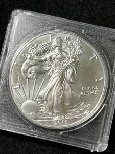 2016 AMERICAN SILVER EAGLE 1 TROY OZ .999 FINE SILVER IN CASE