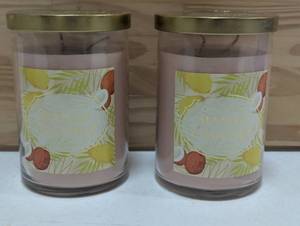 2 Opalhouse - Mango Coconut Soy Candles