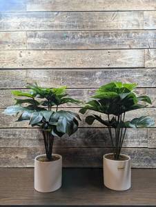 2 - Project 62 Faux Arrangement - Monstera