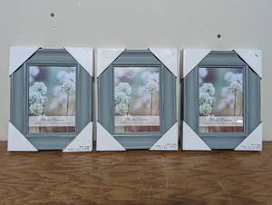 3 Teal Picture Frames - Holds 5x7 Photo
