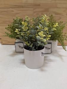 3 Threshold Table Top Faux Plants
