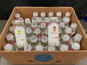 Box of 48 Plant-Powered Wahi Water Bottles - Immunity & Revive Blends