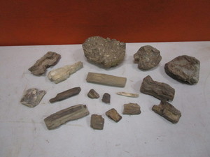 lot 269 image: Petrified Wood & Fossil Rocks