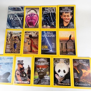 lot 139 image: 1993 National Geographics Magazines with Special Ed.