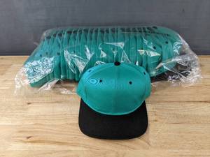 lot 242A image: 24 Brand New Youpoong Teal and Black Hats OSFM A