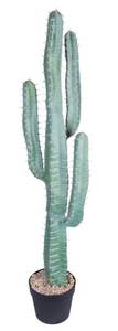 lot 78 image: New Ruwenus Artificial Cactus 3.3ft (39) $199.00 Retail B