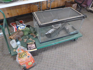 lot 57 image: Reptile Aquarium