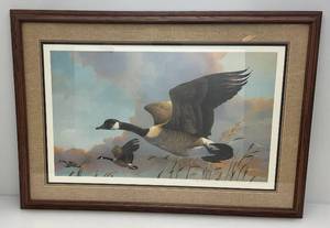 lot 196 image: Framed Behind Glass Pencil Signed Mario Fernandez Wildlife Print 776980 30 x 43