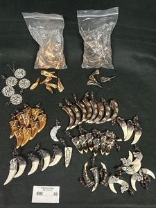 Variety of Talon Charms & Crafting Buffalo Teeth