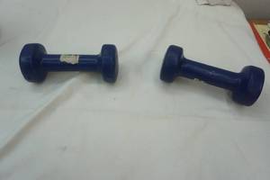 lot 189 image: 2 5lb weights. blue
