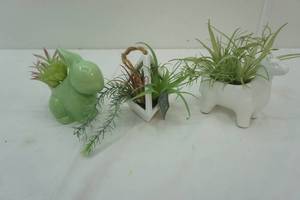 lot 252 image: artificial succulent pots. 3ct