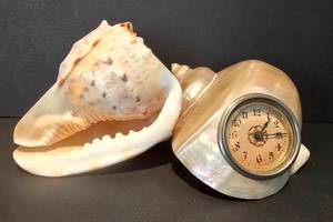 lot 150 image: Unique Shell Decor Options