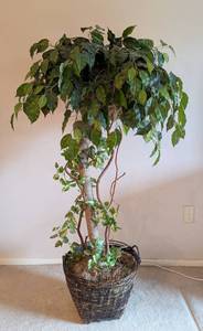 lot 47 image: Potted Faux Ficus Tree