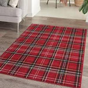 Nourison Grafix Red 4 ft. x 6 ft. Geometric Plaid Modern Area Rug Customer Returns Review all pictures