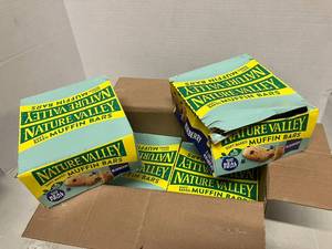 Nature Valley Blueberry Muffin Bars