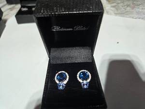 lot 147 image: Gold Coast Platinum Plated Earrings  Royal Blue Centerpiece with Sparkling Silver Accents  Brand New Sold online for $130.00