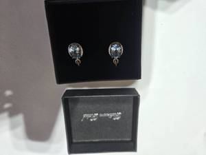 lot 154 image: Gold Coast Platinum Plated Earrings  Sky-Blue Centerpiece with Sparkling Silver Accents  Brand New Sold online for $80