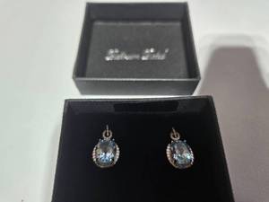 lot 158 image: Gold Coast Platinum Plated Earrings  Sky-Blue Centerpiece with Sparkling Silver Accents  Brand New Sold online for $80