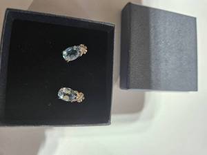 lot 159 image: Gold Coast Platinum Plated Earrings  Sky-Blue Centerpiece with Sparkling Silver Accents  Brand New Sold online for $80