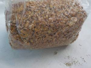 12 12 lb. bag Honey Roasted Cashew...