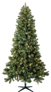 lot 583 image: Evergreen Classics 7.5ft Pre-Lit Benton Pine Artificial Christmas Tree, Color-Changing LED Lights with Quick Set