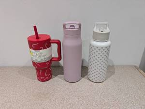 lot 66 image: 3 SIMPLE MODERN TUMBLERS ( RED CANDY CANE, PURPLE W DENT, SILVER & GRAY )