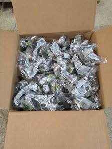 lot 203 image: Bulk Lot of 100 Impact Resistant Safety Goggles