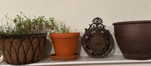 lot 341 image: Pots & Plants - Gardening in the Winter