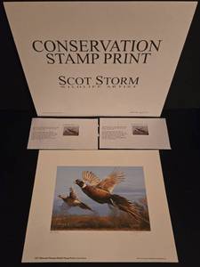 lot 380 image: 2011 Minnesota Pheasant Habitat Print & Stamps by SCOT STORM