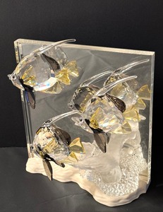 lot 20B image: Swarovski Crystal Wonders of the Sea Community Angel Fish