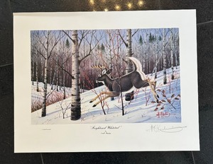lot 205 image: Frightened Whitetail Unframed Print by Les Kouba