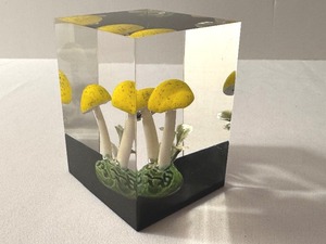 lot 267 image: Vintage Mushroom Figurine Lucite Paperweight