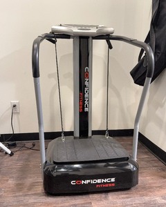 lot 99 image: Whole Body Vibration Plate