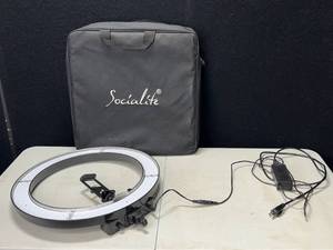 lot 196 image: 18 Ring Light