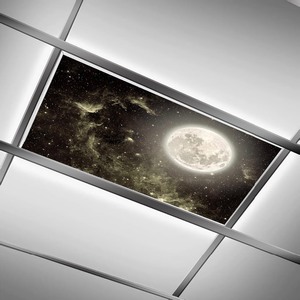 Decorative Flourescent Light Cover 2x4