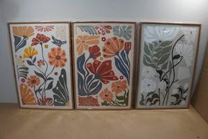 Set of Three Decorative Framed Prints 23.5x15.75